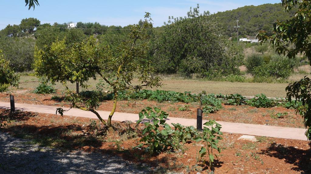 Vakantiehuis Gat Sant Carles de Peralta
